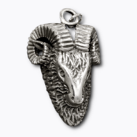 Steinbock / Widder