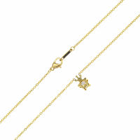 Stainless steel chain rose gold with star/crown pendant