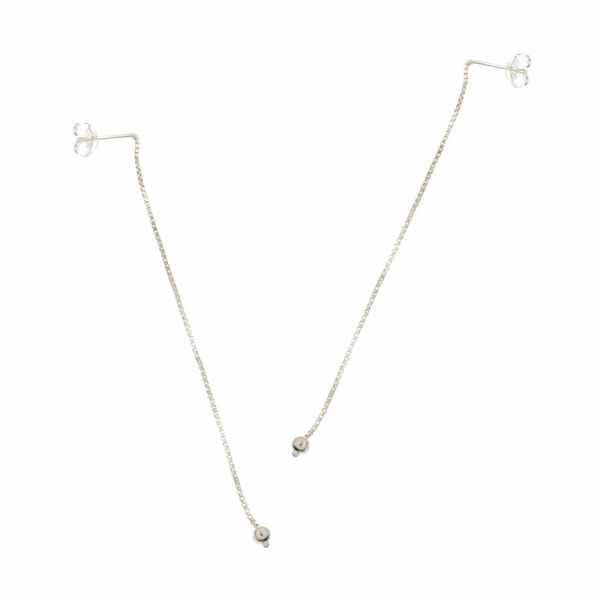 silver earrings
