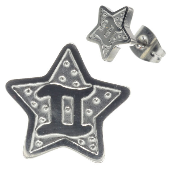 Edelstahl-Ohrstecker - Zodiac Zwilling