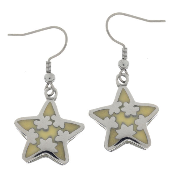Stainless Steel Drop Earrings – Two-Tone Star with Floral Ornaments