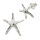Silver Stud Earrings - Starfish