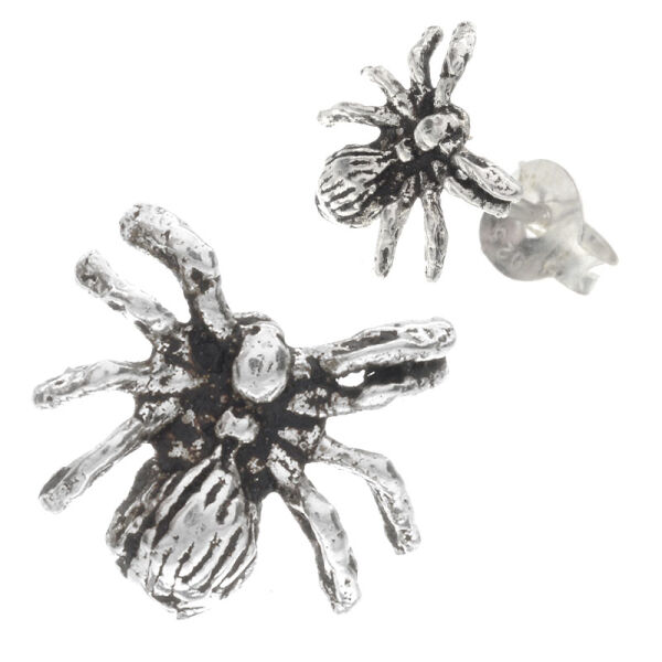 Silberohrstecker - Spinne