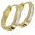 Stainless steel folding hoop earring - horseshoe shape with mother-of-pearl