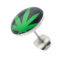 Cannabis Leaf Stainless Steel Stud Earrings