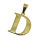 Stainless Steel Pendant - Letter "D" PVD Gold