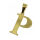 Stainless Steel Pendant - Letter "P" PVD Gold
