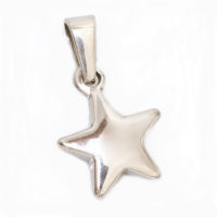 Stainless Steel Pendant- Star/Polished