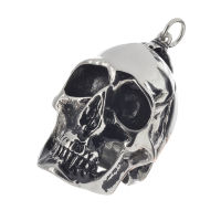 Stainless steel pendant - head skeleton