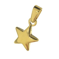 Stainless Steel Pendant - Star