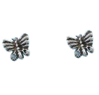 Silberohrstecker - Schmetterling