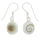 Silver Earrings - Shiva Eye Oval