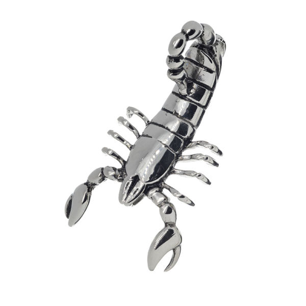 Edelstahlanhänger - Skorpion 78 x 45 x 31mm