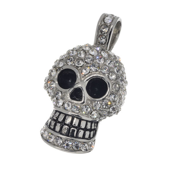 Skull with stones