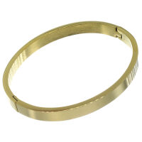 Stainless Steel Bangle - Classic - Matted - PVD-Gold