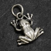 925 Sterling silver pendant - "Käthe" frog