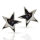 Silver Stud Earring - Star 16 mm