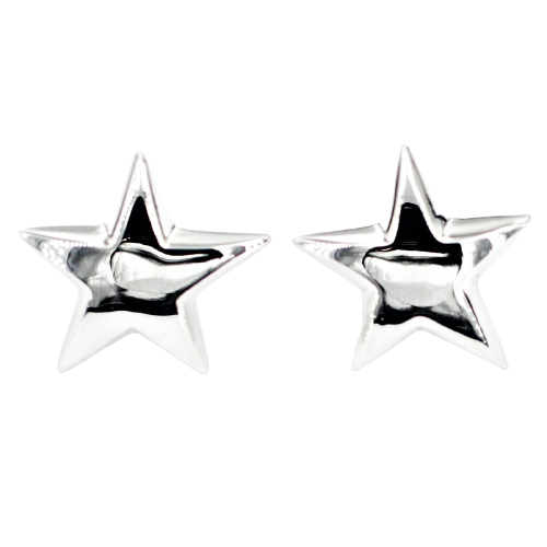 Silberohrstecker Stern