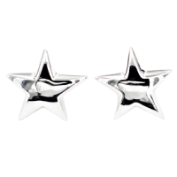 Silberohrstecker Stern