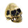 Stainless steel ring - skull PVD gold 57 (18,1 Ø)...