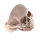 Stainless steel ring - skull PVD-Rosegold 52 (16,6...