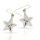 Silver Earrings - Star