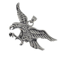 Stainless steel pendant - eagle/various colors and sizes
