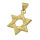 Stainless steel pendant "Star of David" 12-