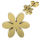Stainless Steel Stud Earrings - Blossom PVD-Gold