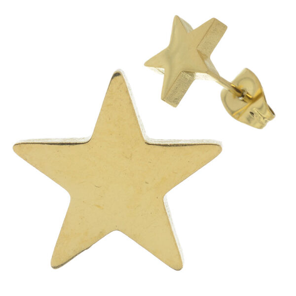 Edelstahlohrstecker Stern