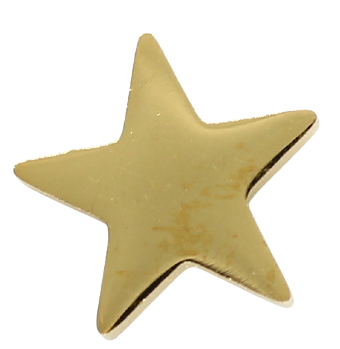 Edelstahlohrstecker Stern Stahl