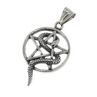 Stainless steel pendant - pentagram with snake