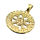 Stainless steel pendant - "Vegvisir" PVD Gold