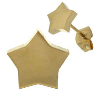 Edelstahlohrstecker - Stern