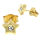 Stainless Steel Stud Earrings - Star with Stone Shiny