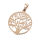Tree of life with root of essence PVD- rose gold-41mm