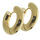 Stainless steel earring - hinged hoop - round PVD gold 22...