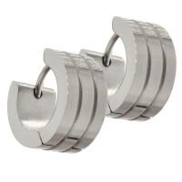 Stainless steel earrings - hinged hoop earrings, matte...