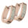 Stainless steel hinged hoop earrings with c/z and PVD...