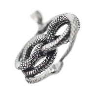 Stainless steel pendant - double snake