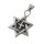 Stainless steel pendant - Star of David