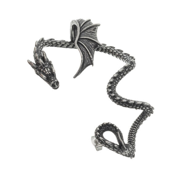 Stainless steel Earring - Amphitere Steel