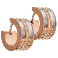 Stainless steel Earring with Mother-of-Pearl