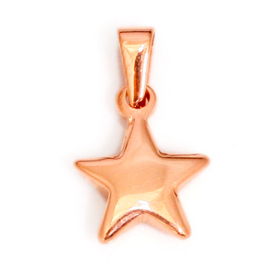 Edelstahlanhänger- Stern PVD-Roségold-klein