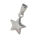 Stainless Steel Pendant - Star Steel